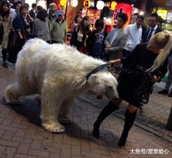 俄罗斯女子带着宠物逛街, 路人看到后, 都纷纷退避三舍