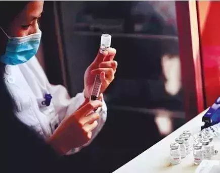 2018年, 狗狗都经历了什么?