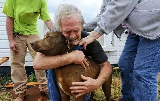 9个人与动物最感人的瞬间, 你能忍到第几个不哭?