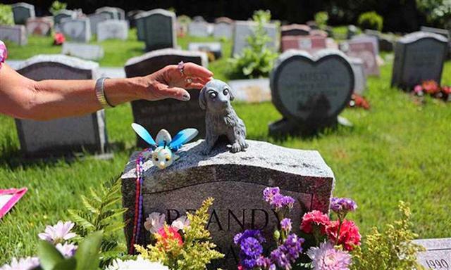 铲屎官亲自送别爱犬, 高价请入殓师为其火化, 把骨灰抛撒进大海!