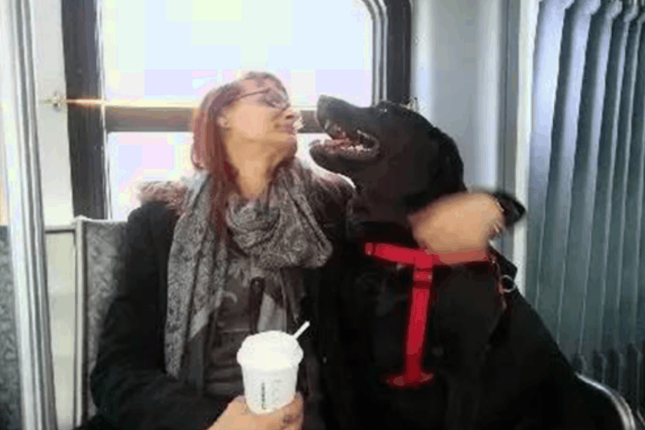 神了? 这只狗狗每天坐公交出去浪, 附近一带小有名气!