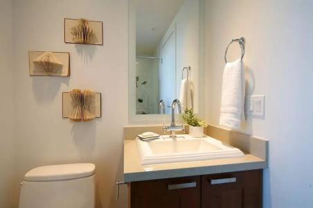 外国人卫生间都不装马桶了! 用这“东西”省出好几万快! 都来学学
