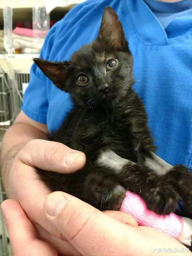 警察巡逻时发现可疑垃圾袋, 走近一看竟是……