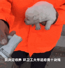 环卫工大叔抱着一只小奶狗, 并掏出十块钱: 你愿意收养它吗?