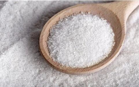 狗狗有这5种表现, 是吃盐过量的“警告”, 赶紧改过来!