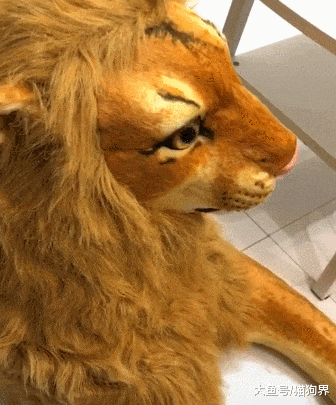 狗子拆家太猖狂, 主人找来镇狗神器, 网友: 看给它吓得, 都抑郁了