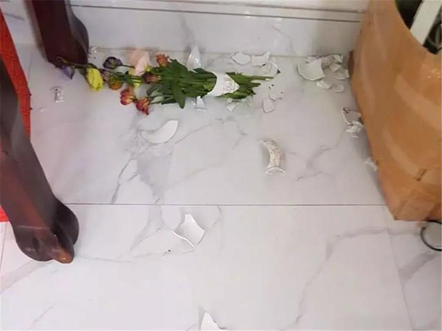 主人回家后发现花瓶被砸, 生气下将众猫咪挂起, 猫咪表情乐坏主人