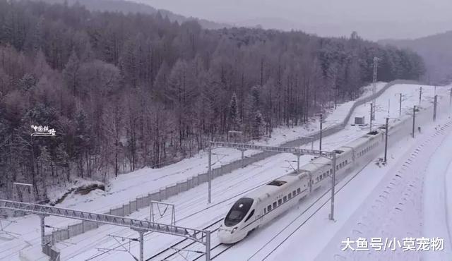 中国高铁献上年底“收官大礼”