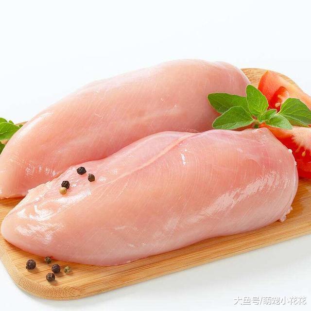 吉娃娃遭人讨厌不是没有道理的, 这5点并不是所有的人都能接受!