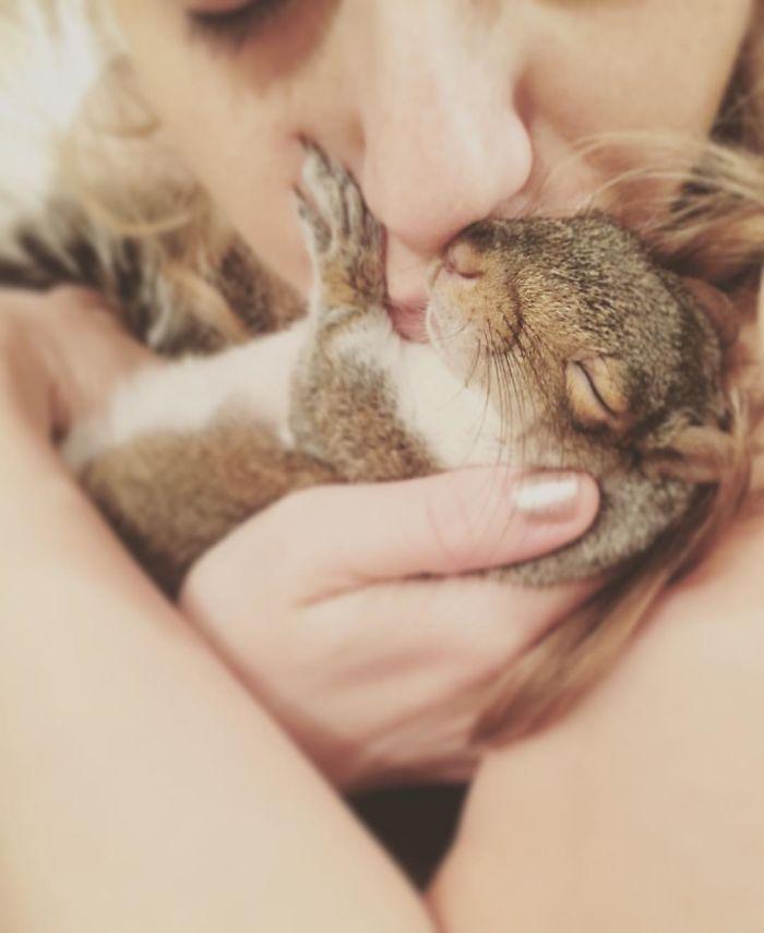 被遗弃的小动物, 受到悉心照料后, 拇指般大小长大后也太萌了吧!