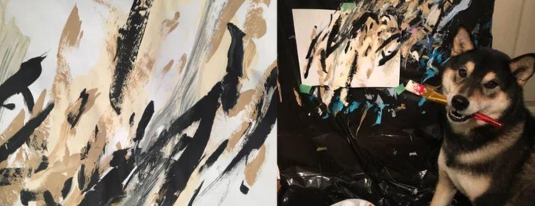 同样都是狗狗, 咱的汪星人会拆家, 别人的柴犬居然会作画!