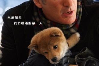 这种狗啃食主人尸体, 而且动物组织还帮其打官司。到底发生了什么