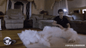 男子养了只大白狗, 让他头疼的却是“狗毛”: 养的是羊吧!