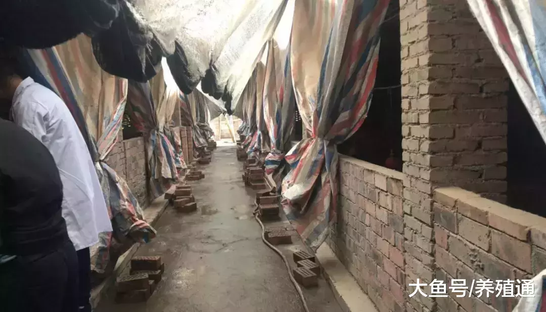 散户就一定被淘汰? 我觉得未必!