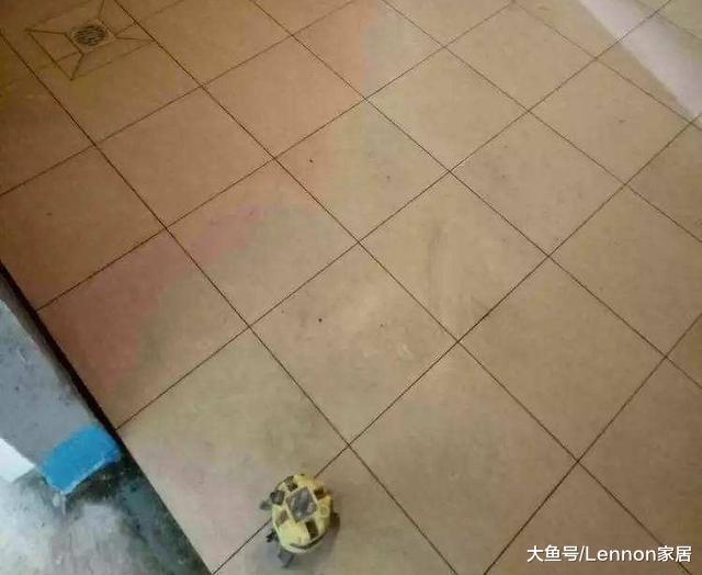 为何现在装卫生间都留空一排? 一问师傅才知道, 这样装好处多多