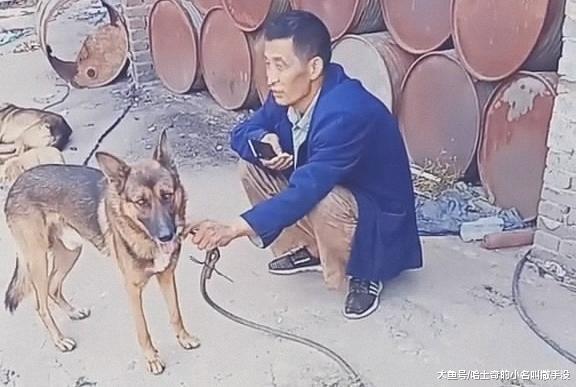 表哥怕狗吓着我们, 牵着狗两个小时没敢撒手, 这才是对狗负责