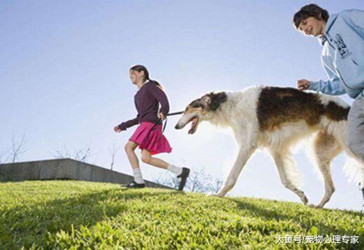 主人将狗绳掉在地上, 自己走了20分钟, 汪: 铲屎的又忘带脑子出门