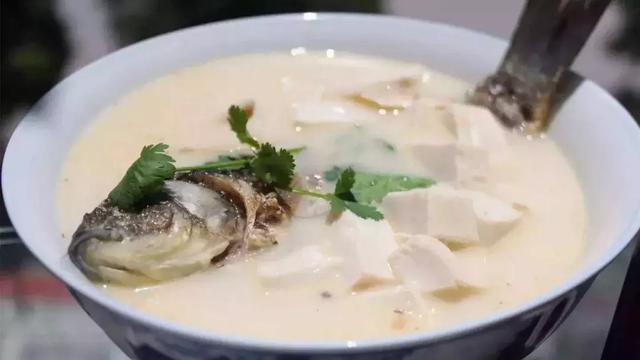 金毛意外骨折需休养, 主人调理后狗狗胖五斤, 食补的三点重要技巧