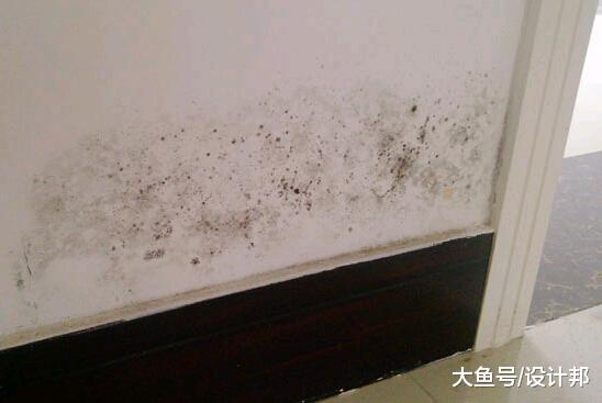 这6个电器一买就后悔想卖掉, 我家居然买了3个现在只能吃灰了!