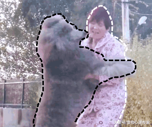 一夜未见女主人, 巨贵发疯般冲上去, 这下得跑趟医院了