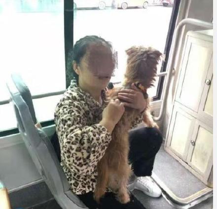 女子带狗上公交, 还谎称自己狗狗是保护动物, 向警察要打车钱