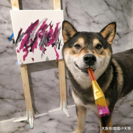 艺术柴是超厉害的抽象画家, 一幅画卖的钱把网友吓到: 有天分