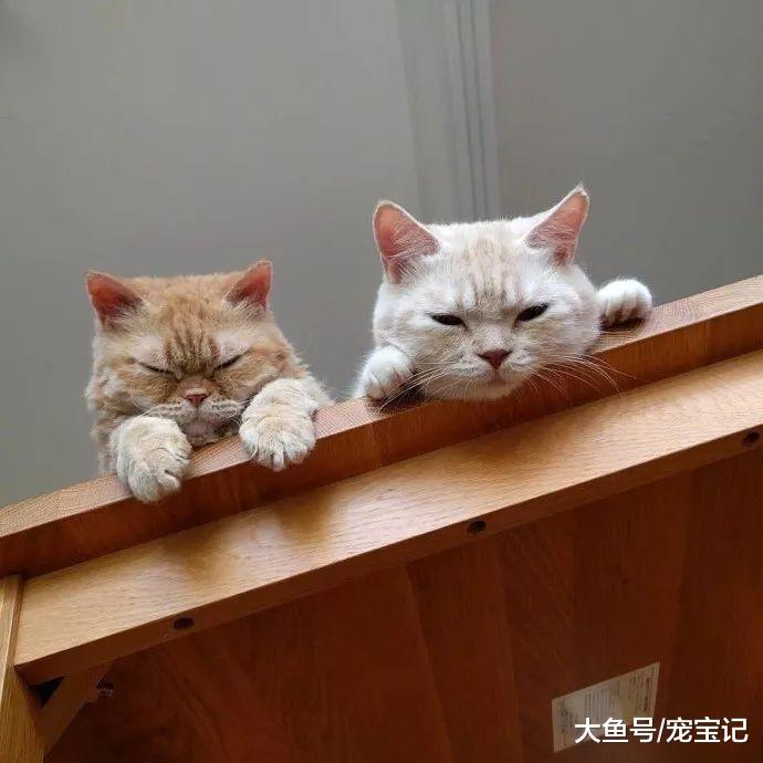 在一起有摩擦也会吵架, 但是凑合过呗, 还能离咋滴?