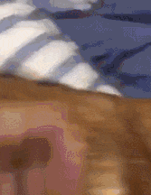 相处久了才发现, 原来狗才是“地表最强小三”!