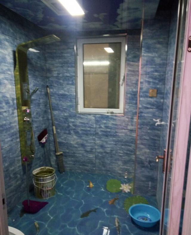 老婆17w装修新房, 厨房和卫生间装3D地砖, 头次见