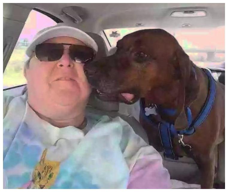 这只狗狗可以吹牛一辈子了: 离家出走4000里, 返程路更是一绝