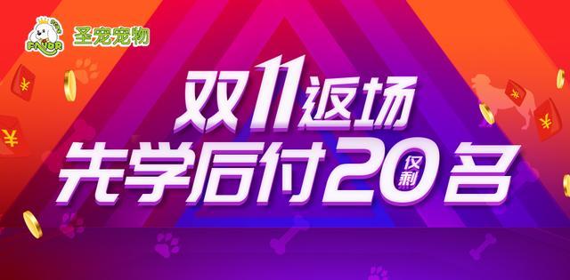 购物节后, 商机强势来袭, 你准备好了吗?
