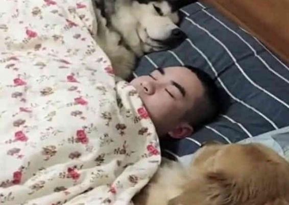 女子加班回到家, 打开灯看到眼前一幕笑喷了: 我睡哪?