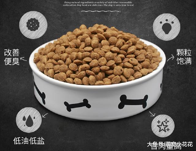 和狗狗睡觉虽好, 但有这5个缺点, 果断放弃!