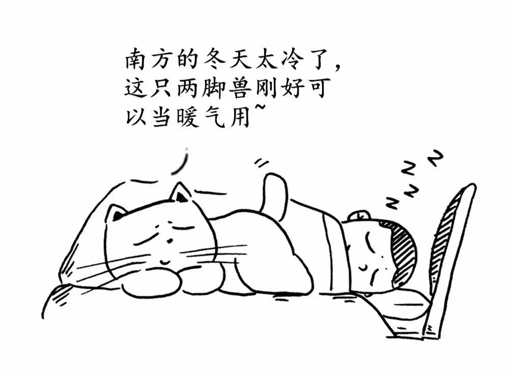 和宠物一起睡, 睡眠质量会更高? 你会和宠物一起睡么