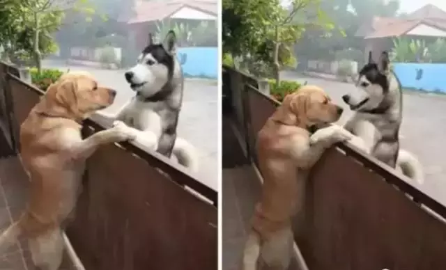 2019, 你们一定都要好好的!