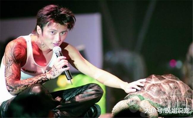 明星们的宠物, 谢霆锋养龟, 成龙的狗有人出价200万被拒绝