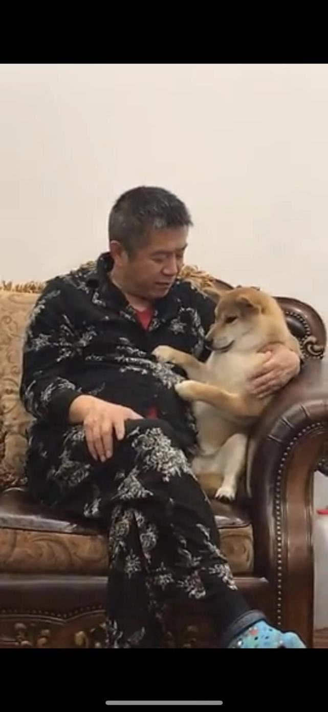 恐怕狗子才是亲生的, 我是捡来的