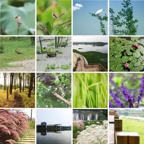 俊·活动 | 献礼昆明的一颗印, 俊发重唤人居昆明传统特色