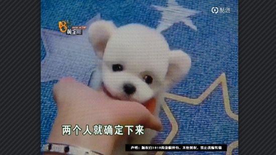 啥东西你都敢在微信上买啊