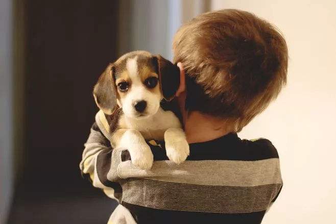 狗狗每天领着一众学生在操场晨跑, 三年如一日, 网友: 别人的学校