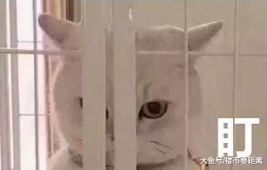 学区房降价220万被争抢, 房主赶紧又涨80万! 闹着玩吗?