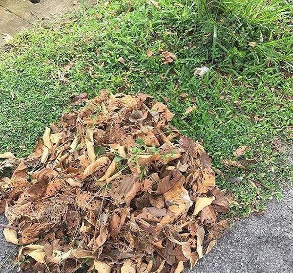 一起来找猫, 据说能全部找出来的人不到5%