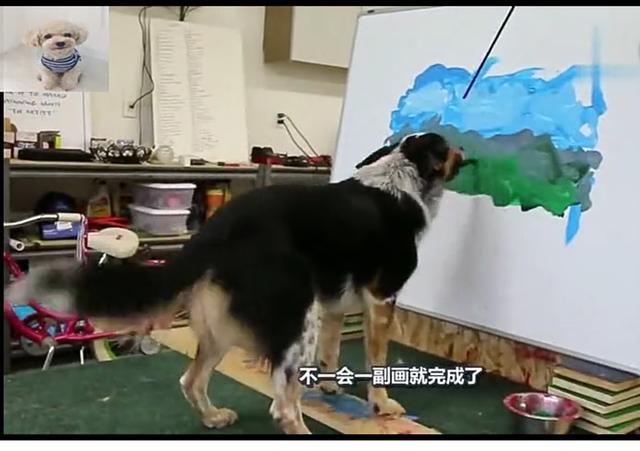 “毕加索牌”汪星人, 作画抽象大胆, 称赞不断!