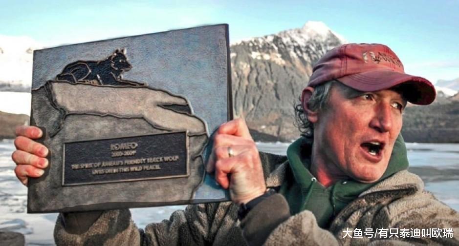 他在阿拉斯加度假「一匹狼」往他家走过来, 他的狗冲了过去…