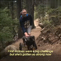 在领养人的帮助下, 后腿残疾的狗狗重新开始奔跑, 爱能治愈一切!