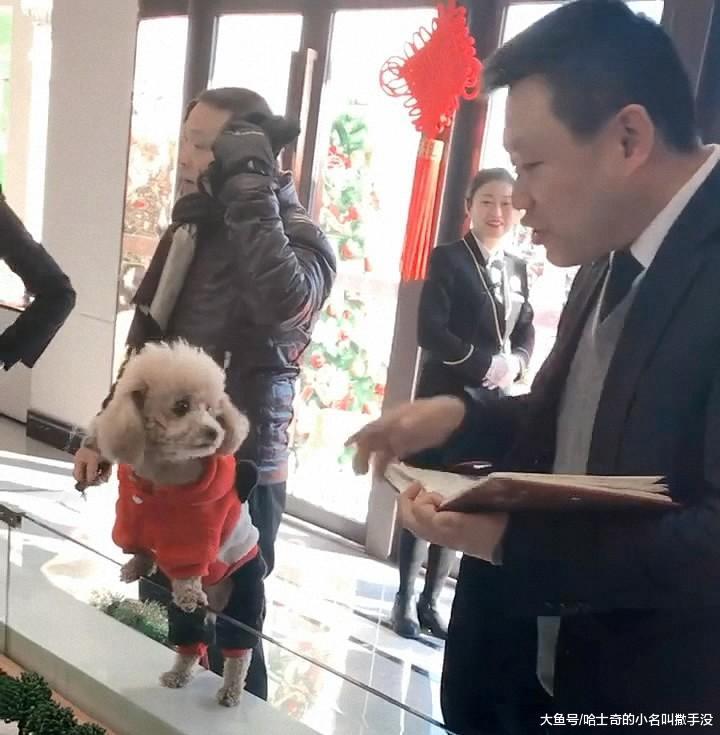 卖房子的不容易, 连一条狗都不能放过! 过年了得冲年终奖啊