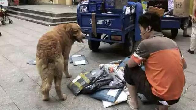 这么巧, 你也在等快递啊?