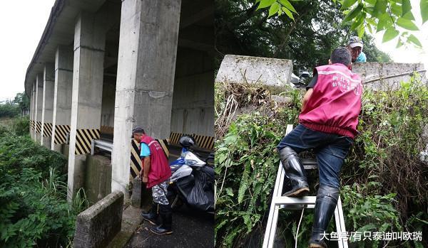 听声音开路! 流浪狗杂草中哀鸣动保员垂降2层楼陡坡搜救