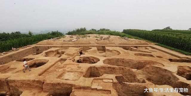 村长派人去修路, 村民发现巨大古墓群, 上报后全村搬迁!