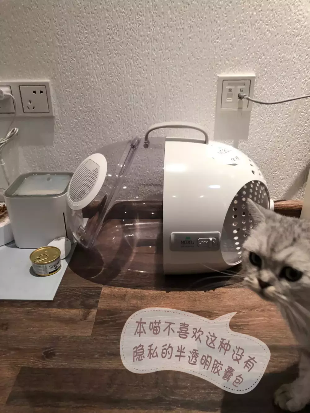 颜值即正义, 老狐狸终于测了这款网红猫包!